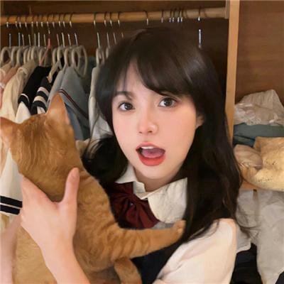 灵书妙探第八季